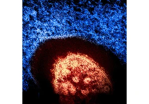 Mutanti se superschopností proti virům a mRNA léčba do první linie