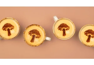 Mushroom Coffee: How It Works, Potential Health Benefits and Things to Consider     - CNET