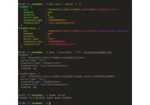 FreeBSD Kernel Modules Pkg(8) Repositories