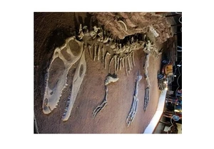 Jak velký byl ve skutečnosti Giganotosaurus