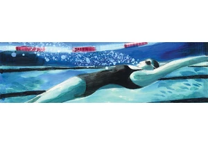 The fish kick may be the fastest subsurface swim stroke yet (2015)