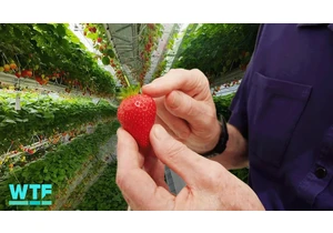 Dyson Reveals Futuristic Farming Vision video