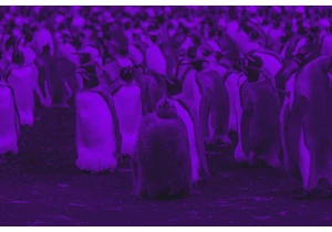 Our Journey Through Linux/Unix Landscapes