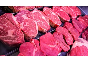 Is Red Meat Healthy? Multiverse Analysis Has Lessons Beyond Meat
