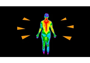 Aging-related inflammation is not universal across human populations
