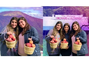 I Tried Gemini's 'Nano Bananas' for Image Editing. The AI Slipups Were Obvious