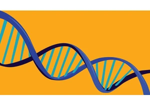 Why Ancestry Is the Best DNA Test Kit in 2025