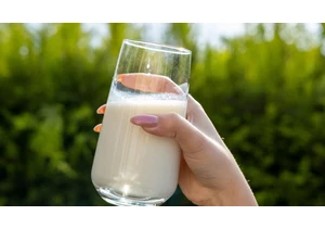 FDA Update on Bird Flu Traces in Milk: What to Know About Pasteurized and Raw Milk     - CNET