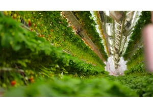 Dyson Reveals Futuristic Farming Vision