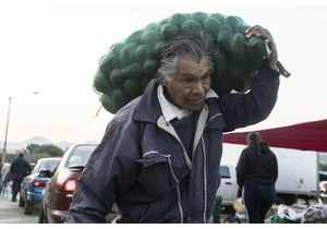 US Importers Sued for 'Greenwashing' Mexican Avocados