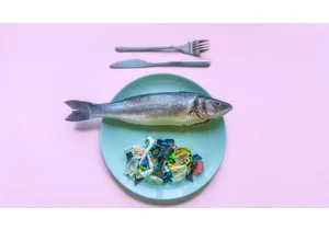 Top 10 Foods Contaminated With Microplastics. Here's How to Avoid Them