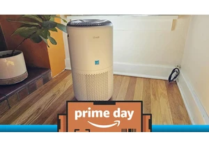 Our favorite air purifier is $37 off for Prime Day