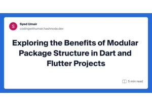 Exploring the Benefits of Modular Package Structure in Dart and Flutter Projects