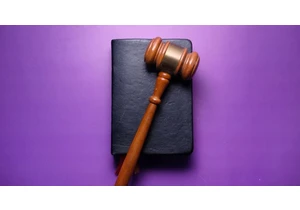 "None of These Books Are Obscene": Judge Strikes Down Much of FL's Book Ban Bill