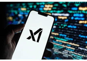 Doge Denizen Marko Elez Leaked API Key for XAI