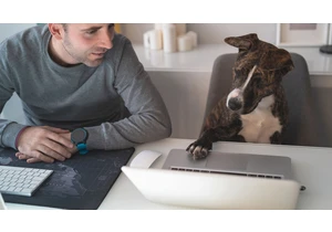 Baidu developing AI-driven animal to human translator – Dr Doolittle plans revealed in patent application