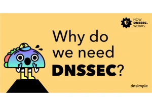 Why do we need DNSSEC?