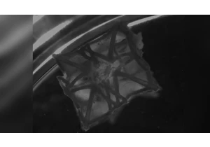  Scientists 3D print a patch that can be embedded into heart tissue — provides alternative to animal-based tissues 