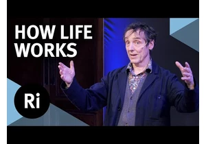 What is life and how does it work? - with Philip Ball