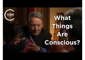 Henry Stapp - What Things are Conscious?