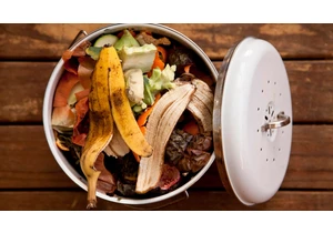 Get That Stinky Compost Off Your Counter. Here's Where Food Scraps Should Really Go