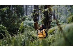 This Nature App Uses AI to Turn Anyone Into a Wildlife Expert. Here's How to Get Started