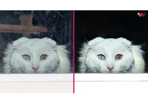 I just discovered Photoshop's hidden new tool that removes distractions in seconds — It saves me sooo much editing time
