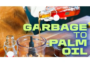 The End of Palm Oil: New Alternative Made from Food Waste video