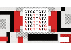 Model Organisms Are Not Static