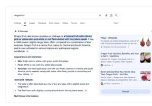 How AI Is Changing Search Behaviors