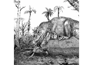 Domov druhu Tyrannosaurus mcraeensis