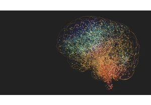 Can adults grow new brain cells?