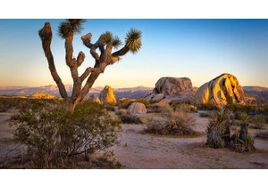 TikTok's Raunchy Love Letter to the National Parks Might Actually Save Them