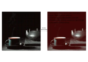 Weaponizing image scaling against production AI systems