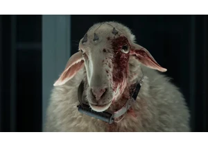  Alien: Earth introduces new creatures as terrifying as the Xenomorph, but the show's creator didn't want to squeeze in 'a vending machine of alien life' for the sake of it 