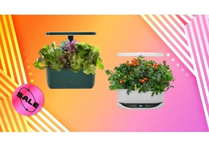 Keep It Fresh With the AeroGarden Memorial Day Sale: Save Up to 15%     - CNET