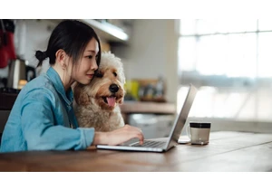 6 Pet Tech Answers for Common Pet Parent Problems