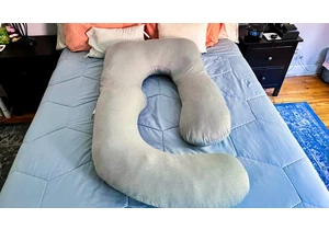 The Best Pregnancy Pillows of 2024     - CNET