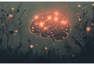 Vagus Nerve Stimulation Erases PTSD: Study