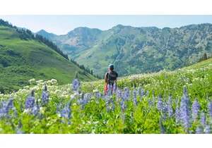 How to Use ChatGPT to Find Hidden Hiking Trails