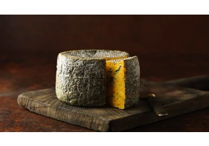 A Cheesemonger Reveals the Best Way to Store Cheese