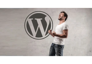 WordPress Jubilee Of Forgiveness Continues via @sejournal, @martinibuster
