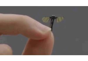 Mosquito-sized drone is designed for Chinese spy missions — military robotics lab reveals incredibly tiny bionic flying robots