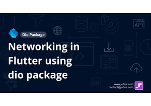 How to Use Dio Package for Networking in Flutter