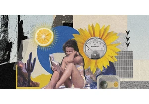 The Sunlight Budget of Earth