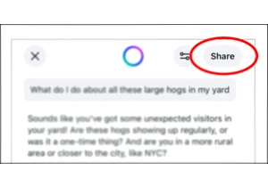 A simple mistake in the Meta AI app could expose your deepest secrets