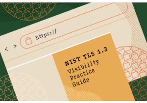 Addressing Visibility Challenges with TLS 1.3 Within the Enterprise