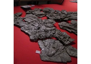 Svižný čínský tyranosauroid