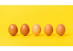 Don't Waste Your Eggs. Food Safety Experts Explains Shelf Life
