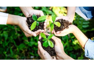 The 9 Best Gardening Tools, According to a Master Gardener and a Horticulturalist